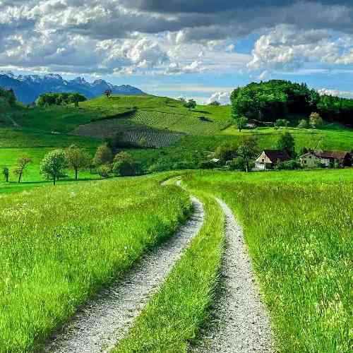 سعید کریمی میخوام بخونم بغضی توی گلومه